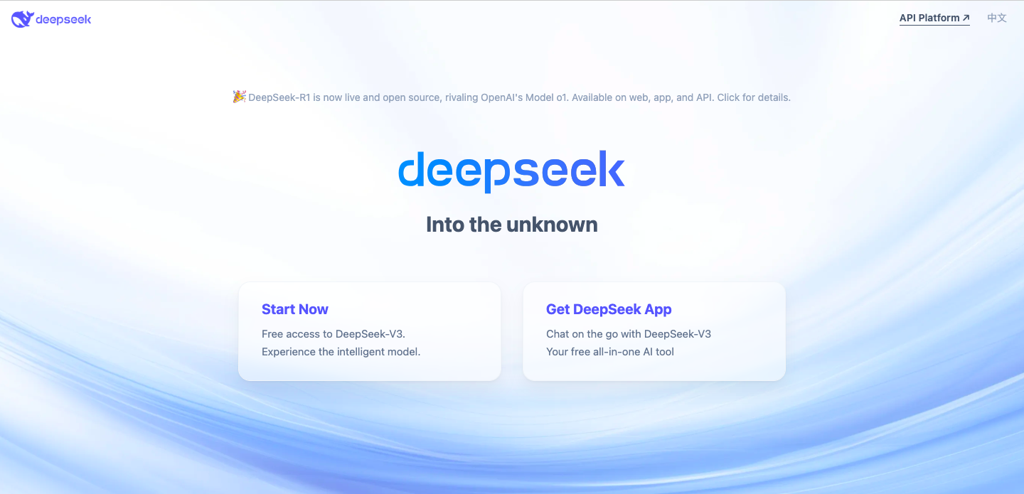 Deepseek Interface